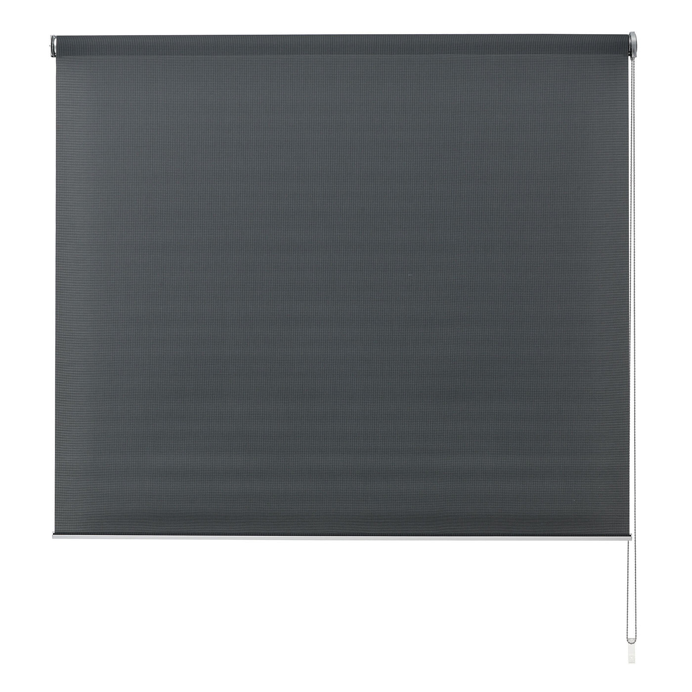 Aster Sunscreen Roller Blind - Baha